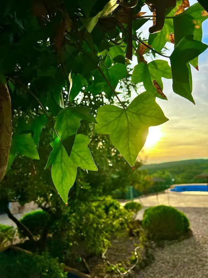 Complejo Rural Mirador De La Alcaidia Holiday home